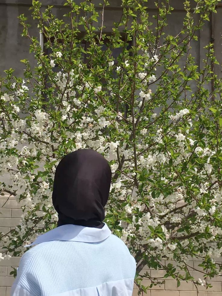 المُتوكِل على الله دائمًا آمن.