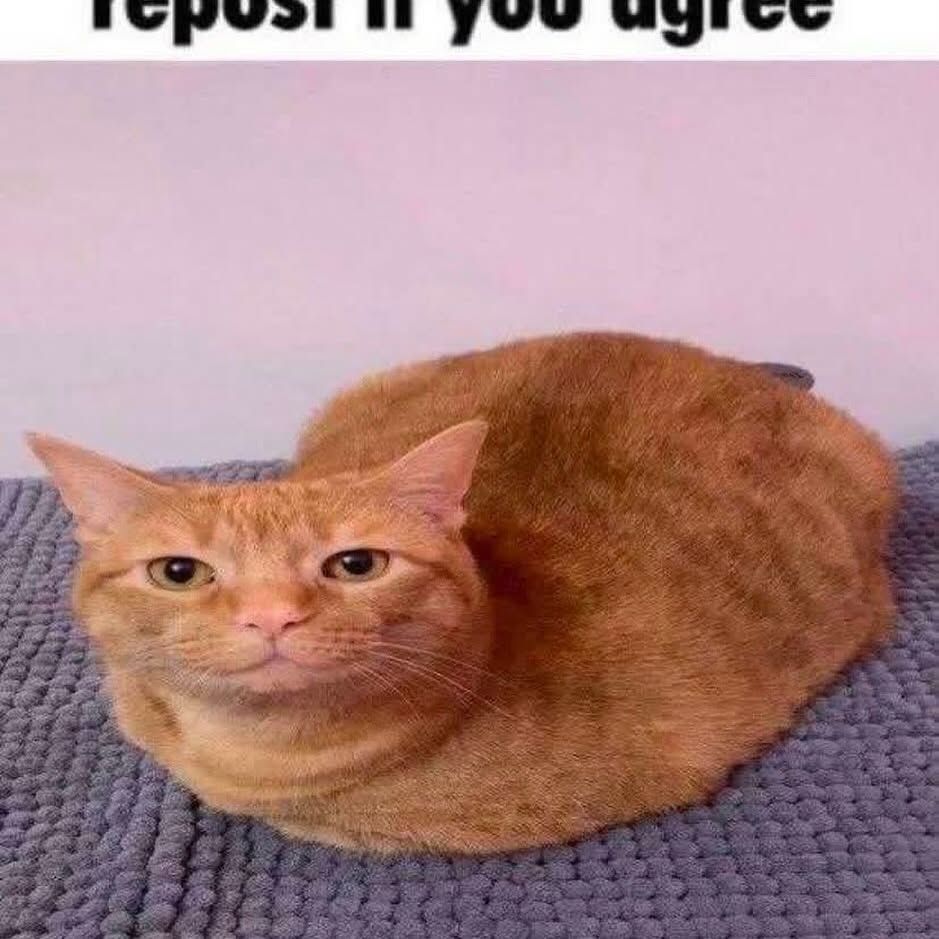 🕐HOURLY🕑 shitpost (@hourly_shitpost) on Twitter photo 