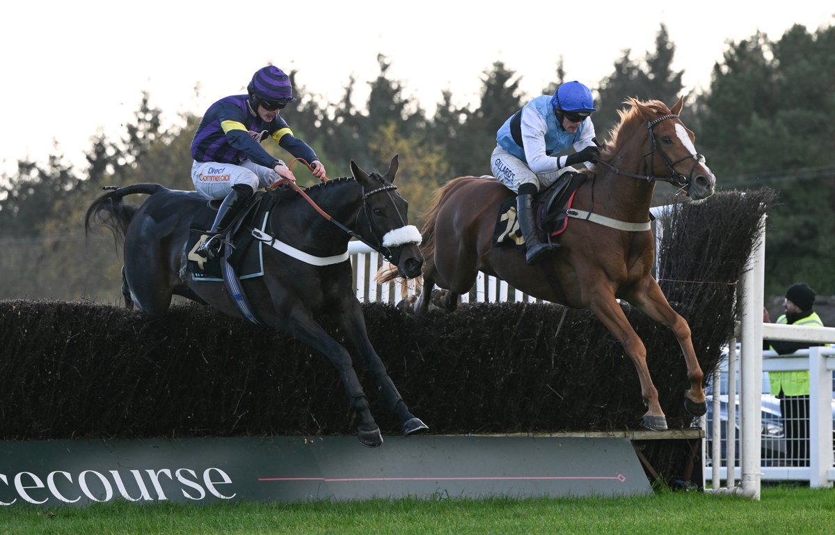 ExeterRaces's tweet photo. Swipe to go through the motions...
#jumpracing #exeterraces #horseracing https://t.co/N6J2slenTj