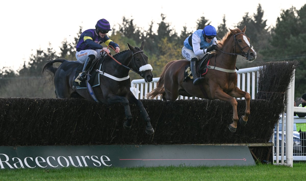 ExeterRaces's tweet photo. Swipe to go through the motions...
#jumpracing #exeterraces #horseracing https://t.co/N6J2slenTj