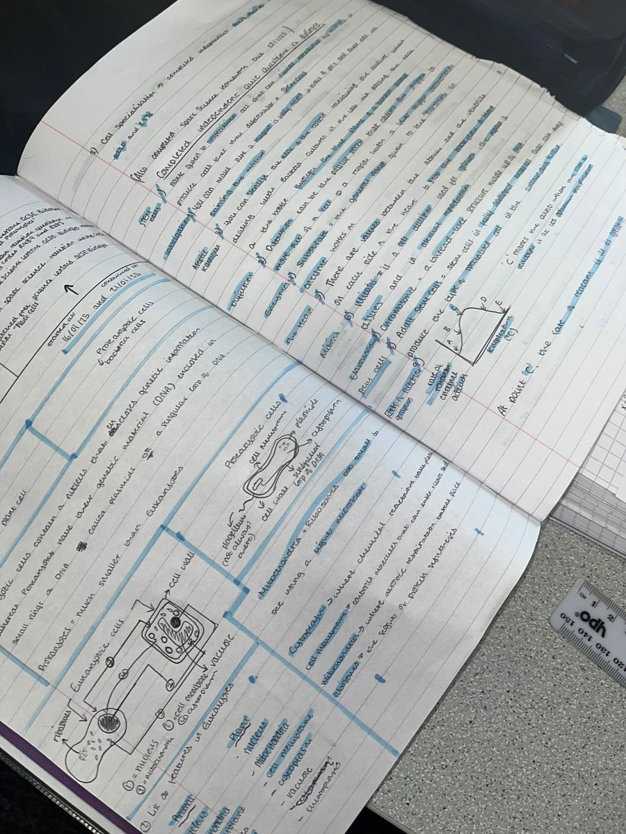 @E-ACT TOAN_Maths tweet media