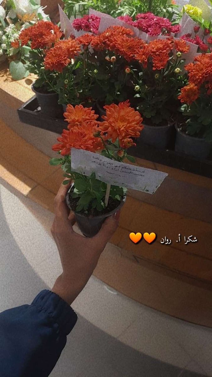 حـور⚖️ tweet media