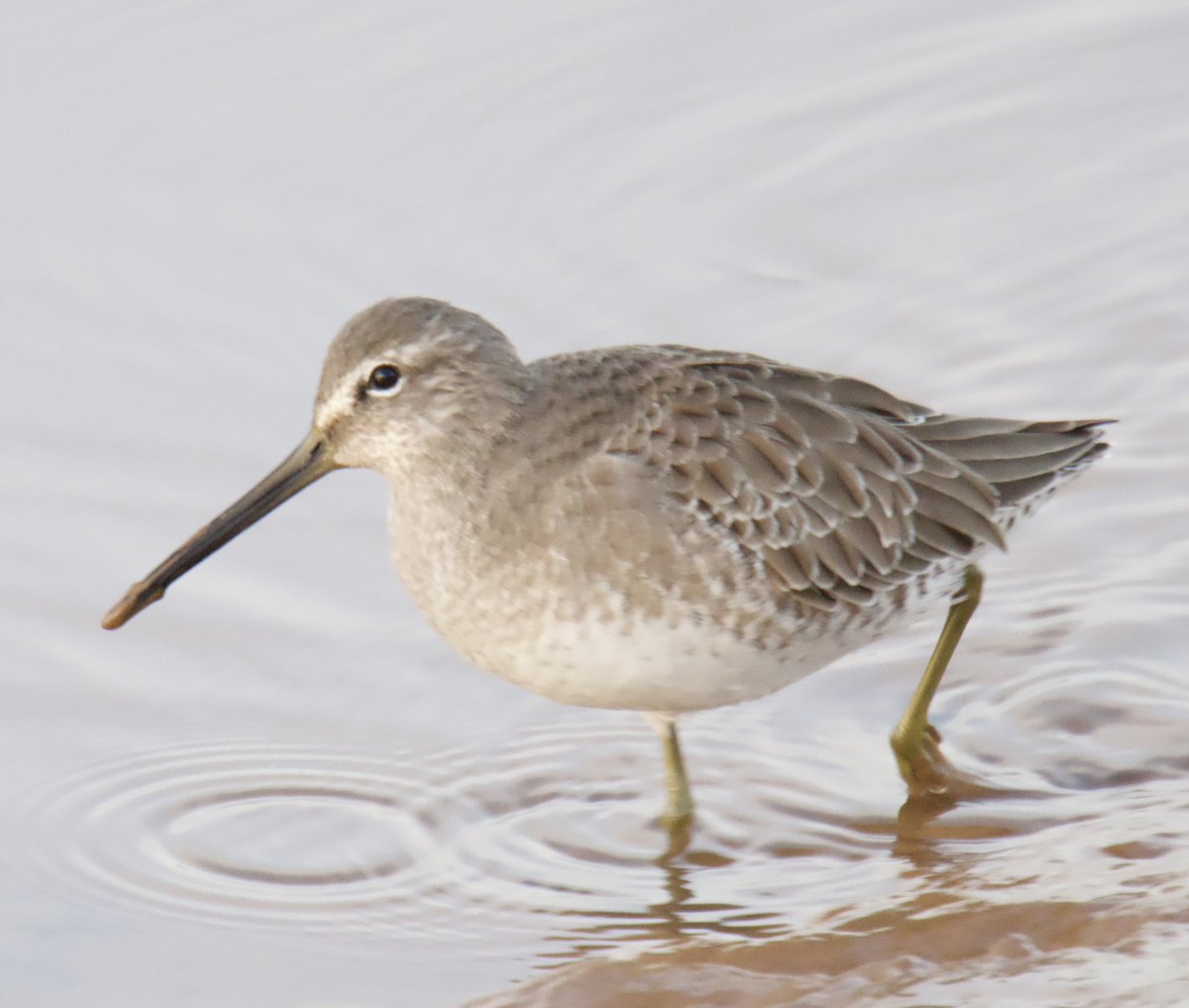 Tim Ridgeway tweet media