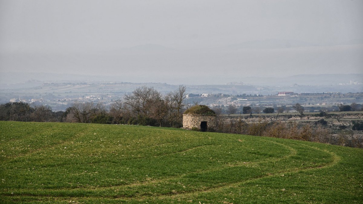 ramon sunyer tweet media