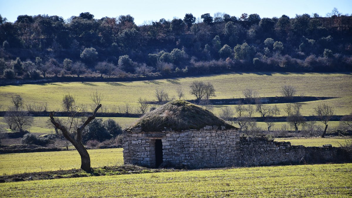 ramon sunyer tweet media