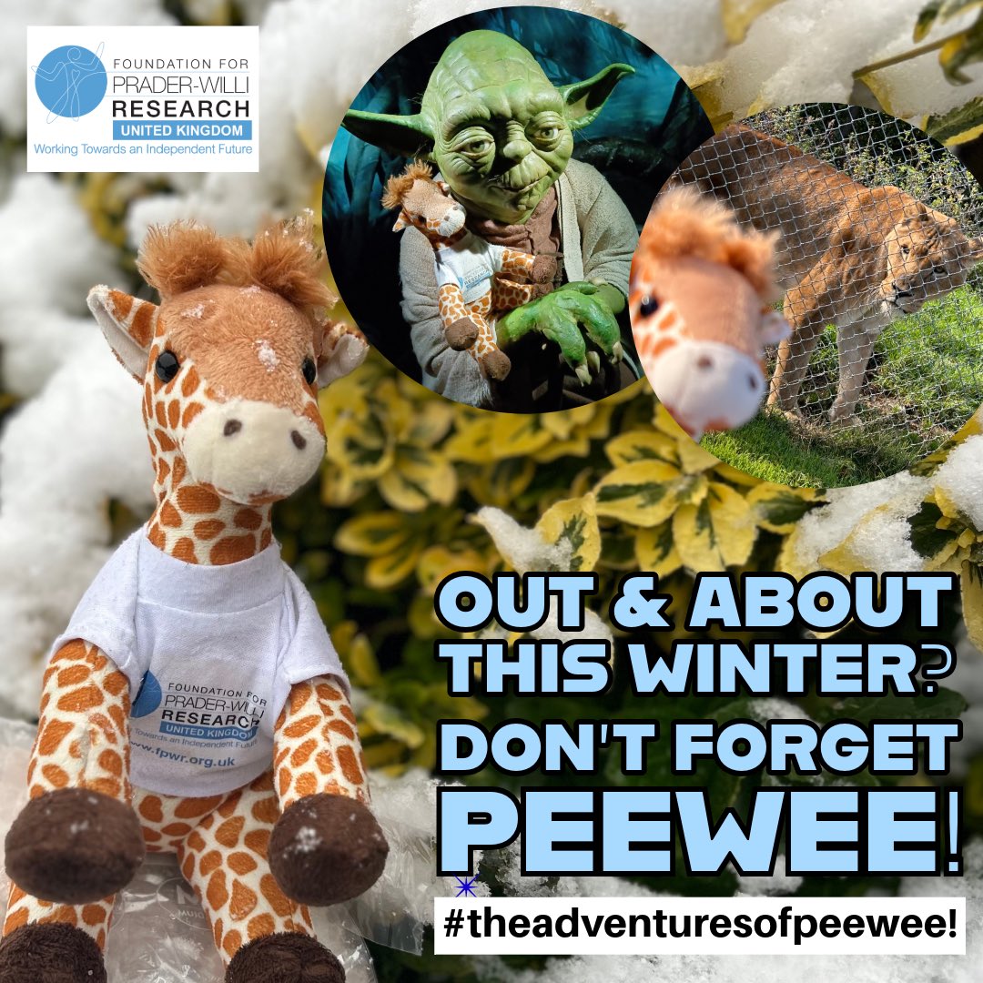 Out and about this winter? Don’t forget your PeeWee.
Take a picture of your peewee and post it with the hashtag #theadventuresofpeewee.
Don’t have a PeeWee of your own? No worries, he’s available to to purchase in our online shop at fpwr.org.uk/product/pee-we… 

#fpwruk #pws