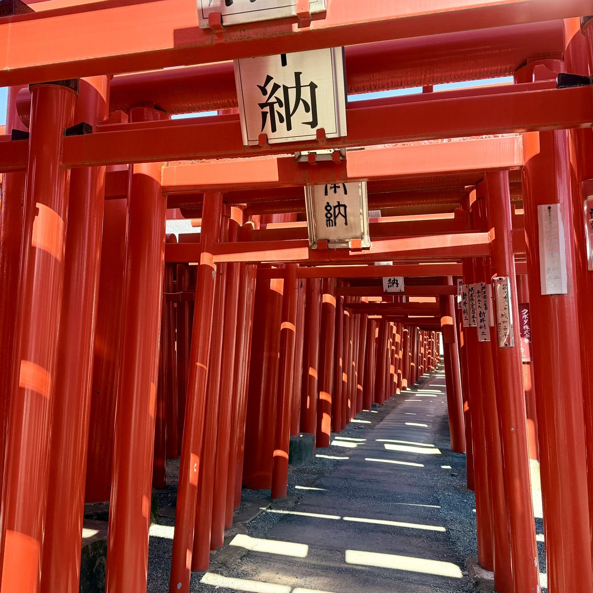 bass69s's tweet photo. 今日は、
群馬県伊勢崎市「小泉稲荷神社⛩️」へ 🚴‍♂️ 🚴‍♂️ 🚴‍♀️
利根川サイクリングロードを走って、伊勢崎市内に入って最初に群馬県内一の高さを誇る大鳥居に迎えられた ⛩️
境内には３列に約100ｍ並んだ大小さまざまな約300基の鳥居が圧巻の光景 ✨
🦊稲荷神社らしく、境内で油揚げが販売されていた😅 https://t.co/GbQwQwbY9e