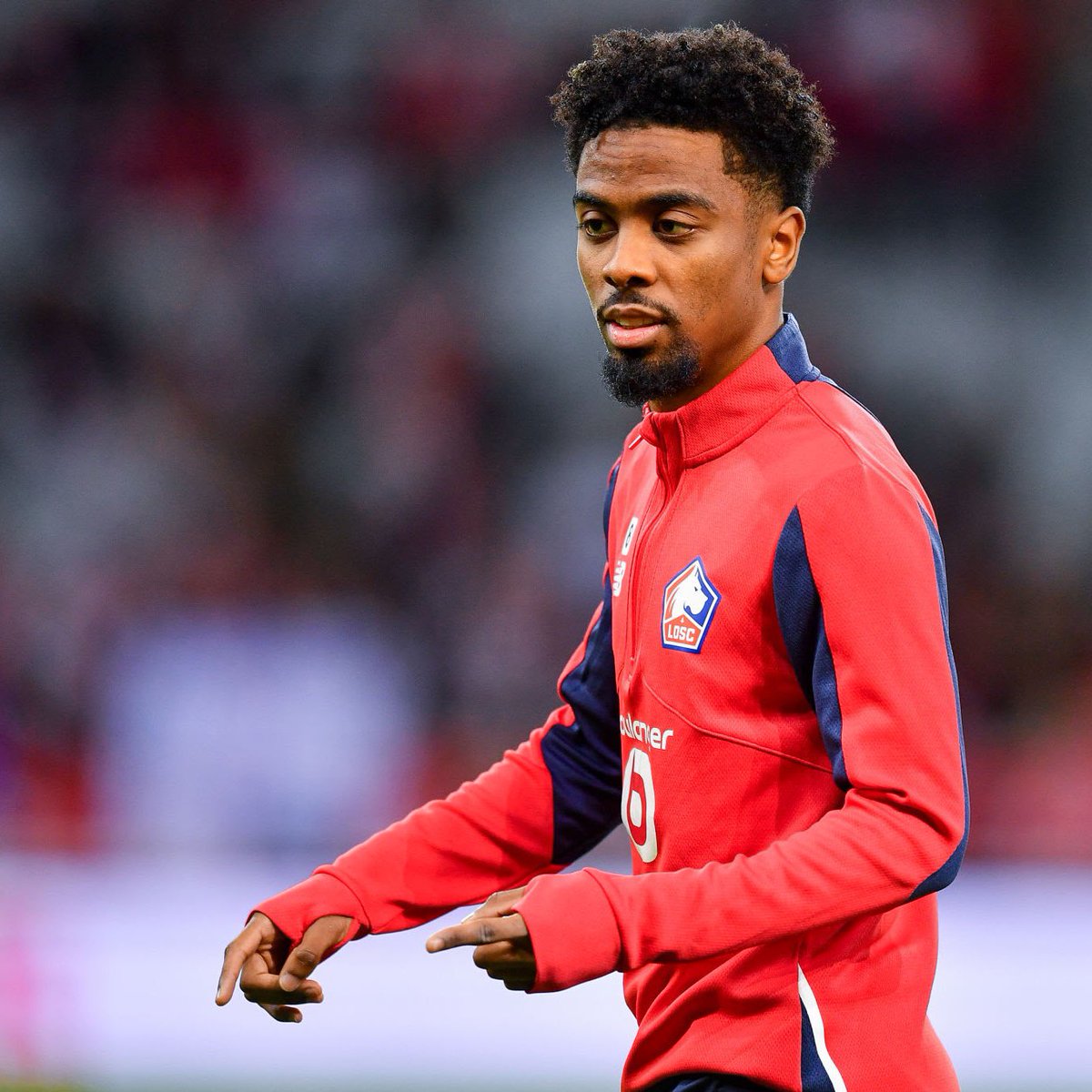 That Tottenham Feed  tweet media