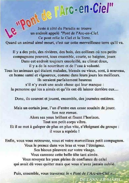 Loovenelle's tweet photo. @MissBettie4 Dites-vous qu'ils ne nous quittent jamais vraiment, ils sont seulement loin de notre vue, mais si proches comme des ombres fidèles..
Pour vous consoler un petit peu.... 🙏 https://t.co/30KC706uOM