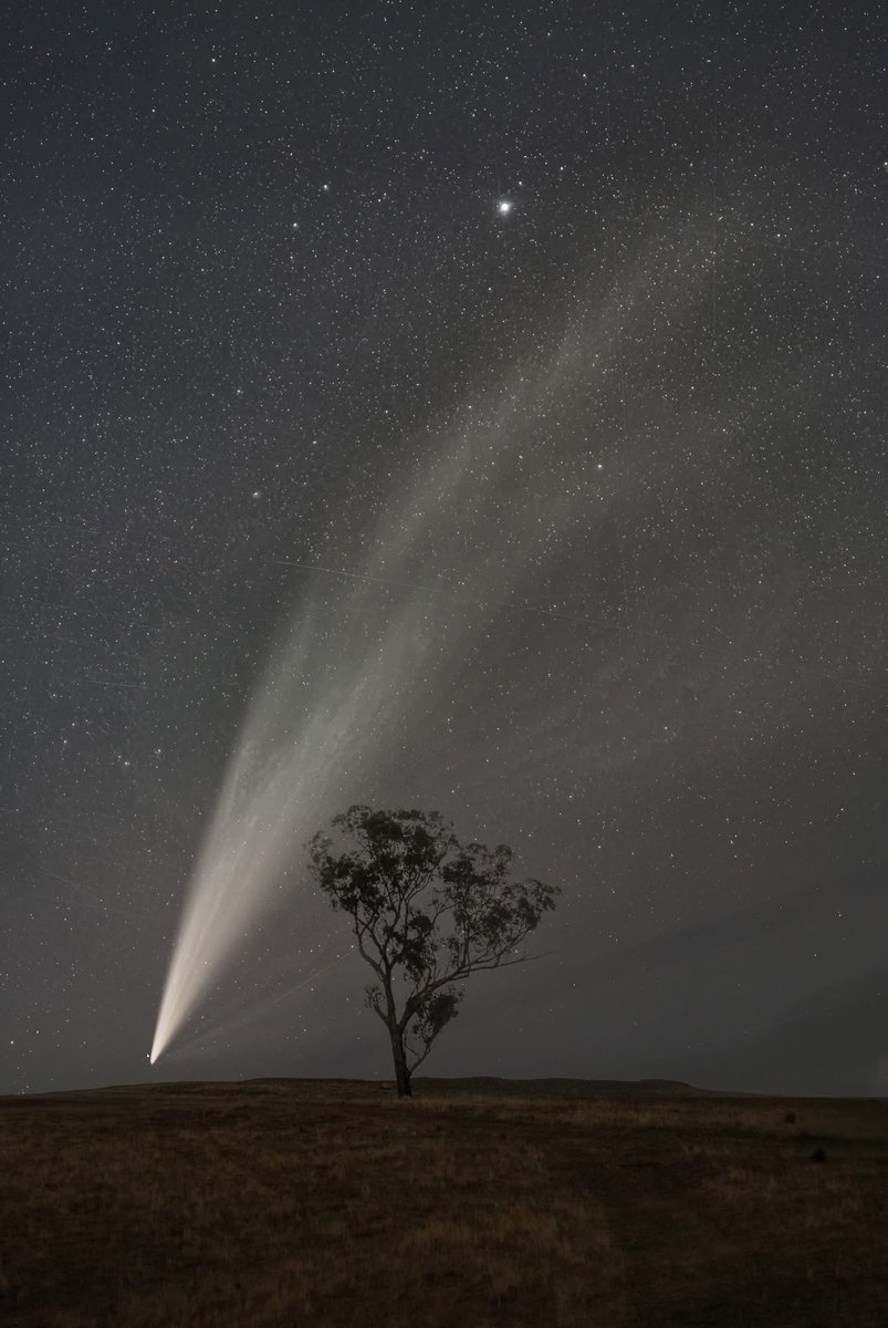 vivstoitsis's tweet photo. The C/2024 G3 (ATLAS) Comet I shot last night from Woodstock, NSW, Australia 
Credit Philip Dubbin https://t.co/5etKZDBiT8