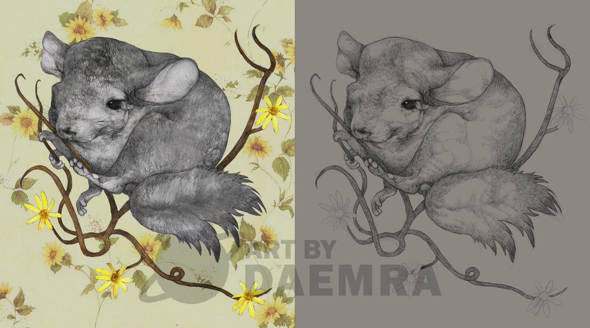 daemra_art's tweet photo. Digital painting of chinchilla
#chinchilla #digitalart #drawings #photoshop #photoshopart #art https://t.co/QrzMI0pANH