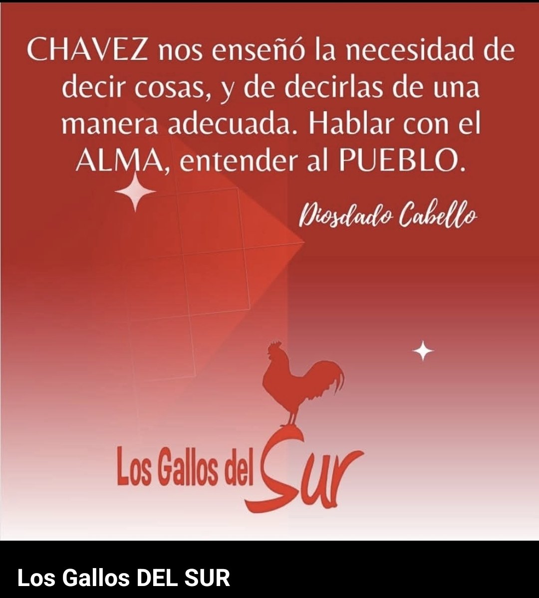 Los GALLOS del SUR tweet media