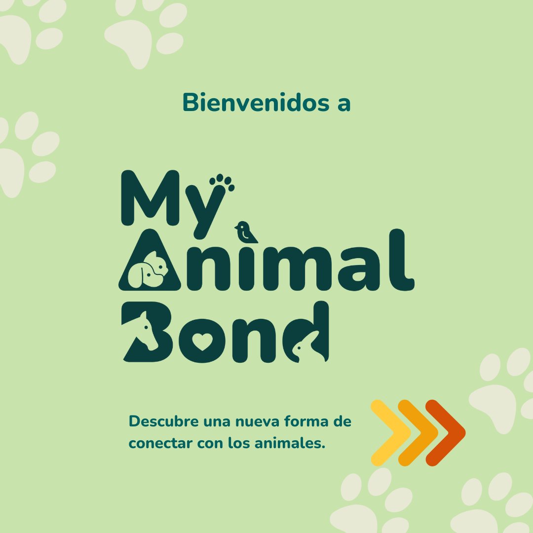 MyAnimalBond's tweet photo. 🌟 ¡Bienvenidos a My Animal Bond! 🐾
Un espacio para conectar con tus animales y promover su bienestar integral. Descubre quiénes somos y cómo podemos ayudarte. 👇✨

#MyAnimalBond https://t.co/DjJHCAAOIL