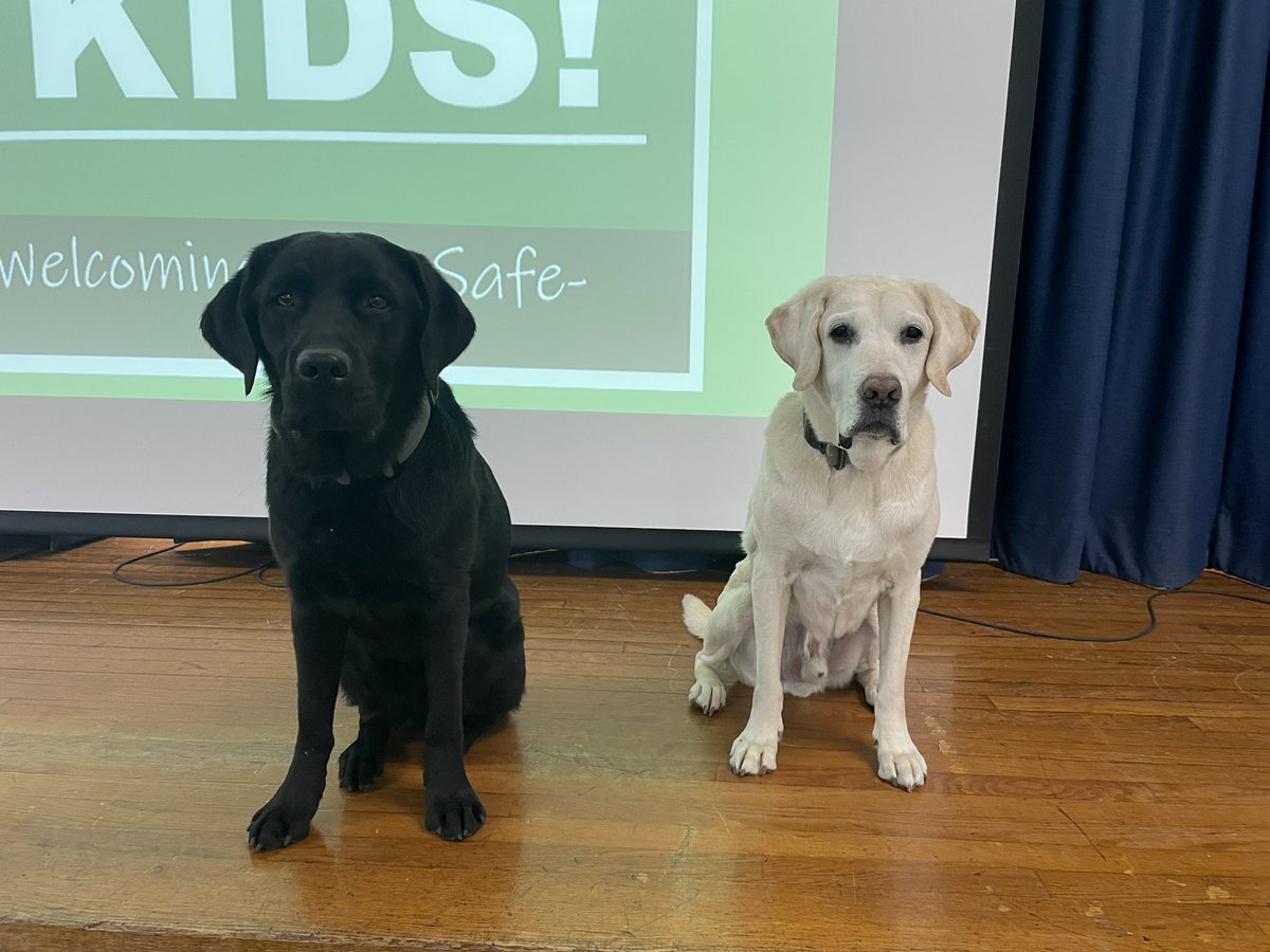 NPSK9Jersey's tweet photo. Joined the @ATFBoston K9 Task Force showing the students and staff of the Daniel Webster Elementary School @MPSDRams how we keep the community safe.
#k9 #k9unit #eodk9 #policedog #bombdog #workingdog #lesm #labrador #protecttheparks #parkranger #usparkranger https://t.co/GgOpK8Wq4c