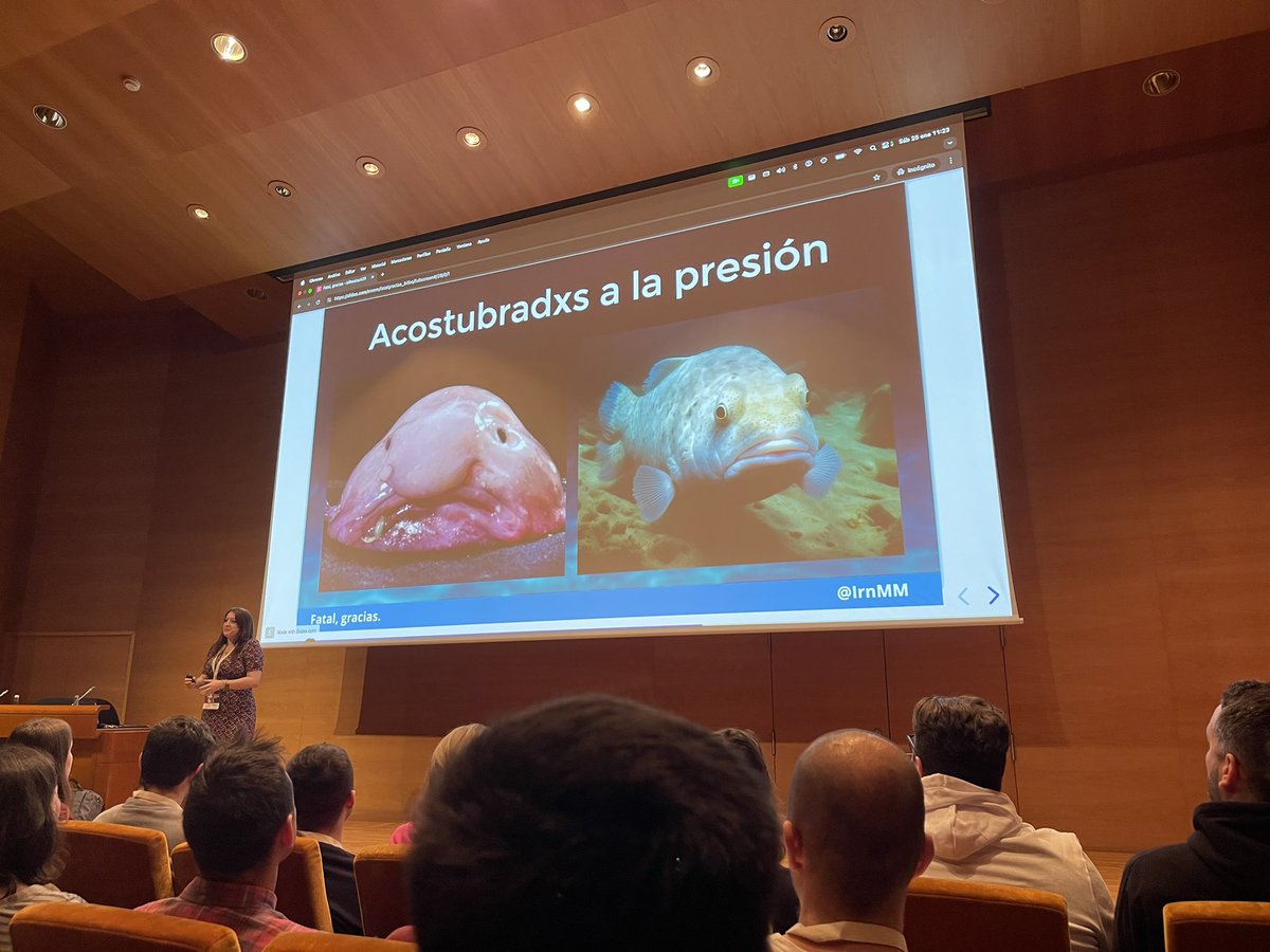 pedropaparicio's tweet image. @IrnMM expresa sus ideas con un fondo y una puesta en escena BRUTALES, sus charlas son puro ORO o BTC hehehe
Que bien lo pasemos en #bilbostack25