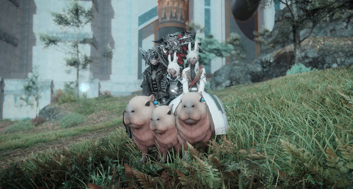 저기
저도나름키큰종족인데
까삐바라크기차이좀우케