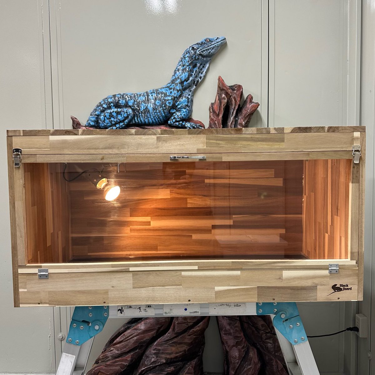 Black lizard 【爬虫類ケージ】 (@reptile_box) on Twitter photo 第6回プレゼント企画🎁🎉
1名の方に爬虫類ケージをプレゼントさせていただきます!🤗
サイズ: W900×D450×H450
*応募条件*
<a href="/reptile_BOX/">Black lizard 【爬虫類ケージ】</a> をフォロー
このポストをイイね👍&リポスト
これだけです!
応募期間1/25〜2/2になります。
当選者は後ほどDM送らせていただきます 第6回プレゼント企画🎁🎉
1名の方に爬虫類ケージをプレゼントさせていただきます!🤗
サイズ: W900×D450×H450
*応募条件*
<a href="/reptile_BOX/">Black lizard 【爬虫類ケージ】</a> をフォロー
このポストをイイね👍&リポスト
これだけです!
応募期間1/25〜2/2になります。
当選者は後ほどDM送らせていただきます