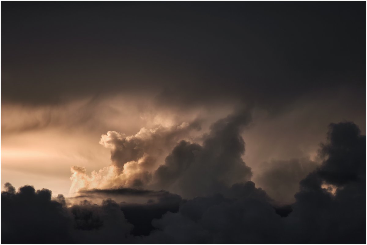 Tristan Gorzelanczyk tweet media