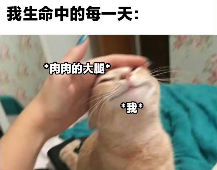 renmao117's tweet photo. 🥹谁能给看肚肚和腿腿 https://t.co/RujPHpDi8l