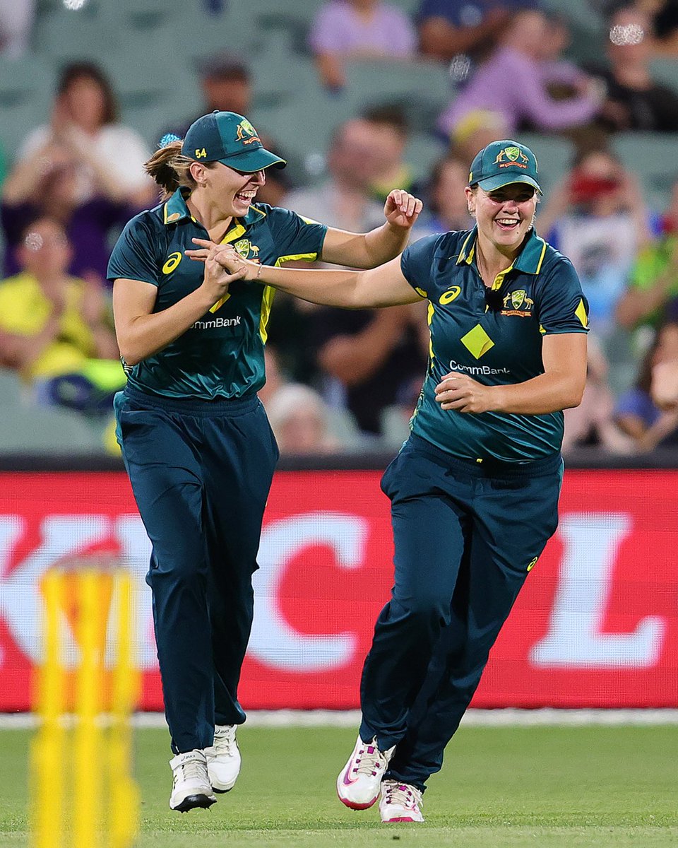 TheAdelaideOval's tweet photo. Things you love to see: Australia beating England at the Adelaide Oval 😍 https://t.co/z0SldBHfTF
