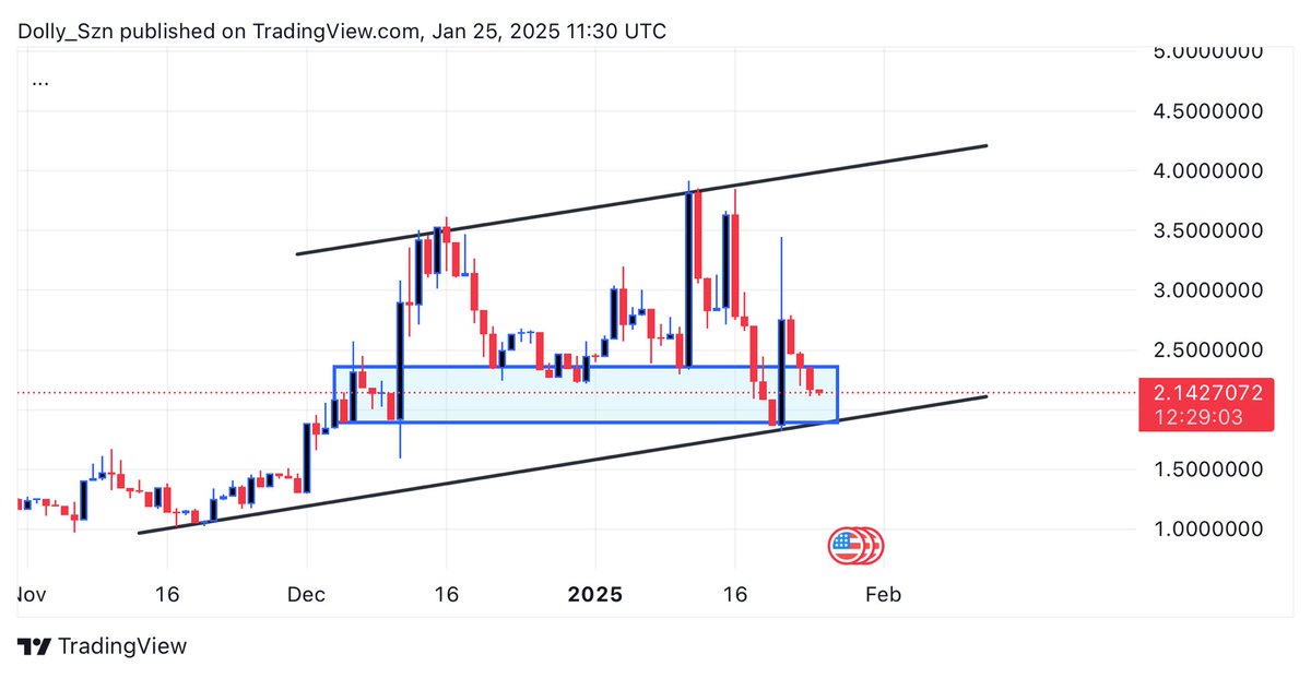 𝐃𝐨𝐥𝐥𝐲 tweet media