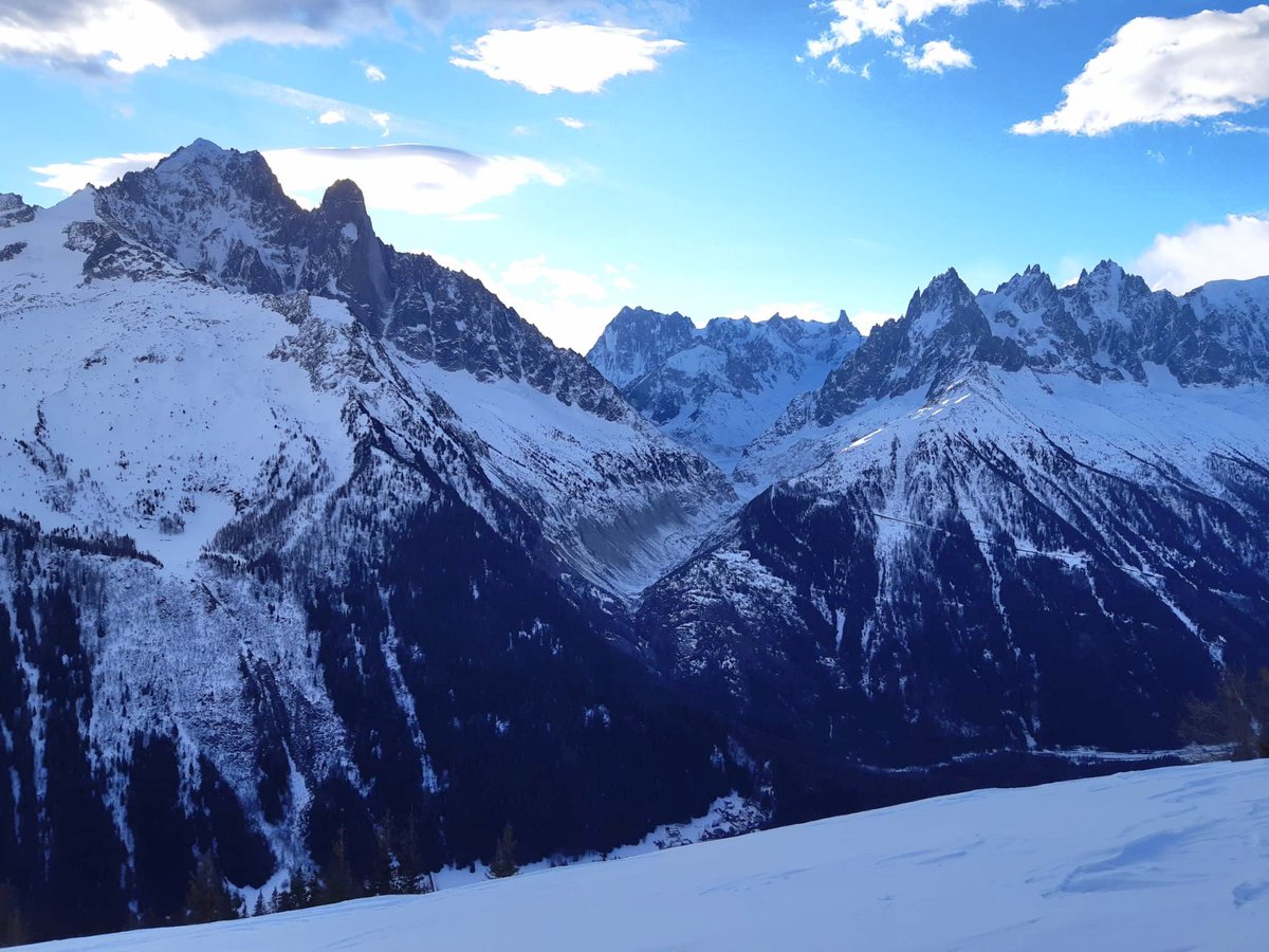 Melaine Le Roy tweet media