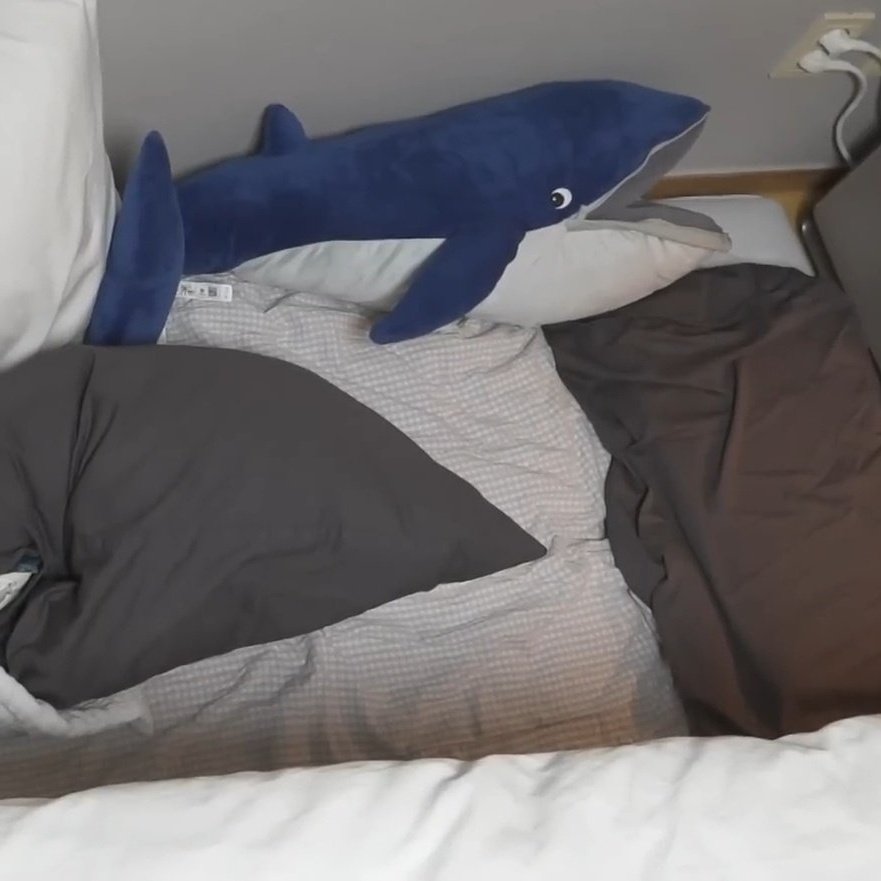 🐳🐳