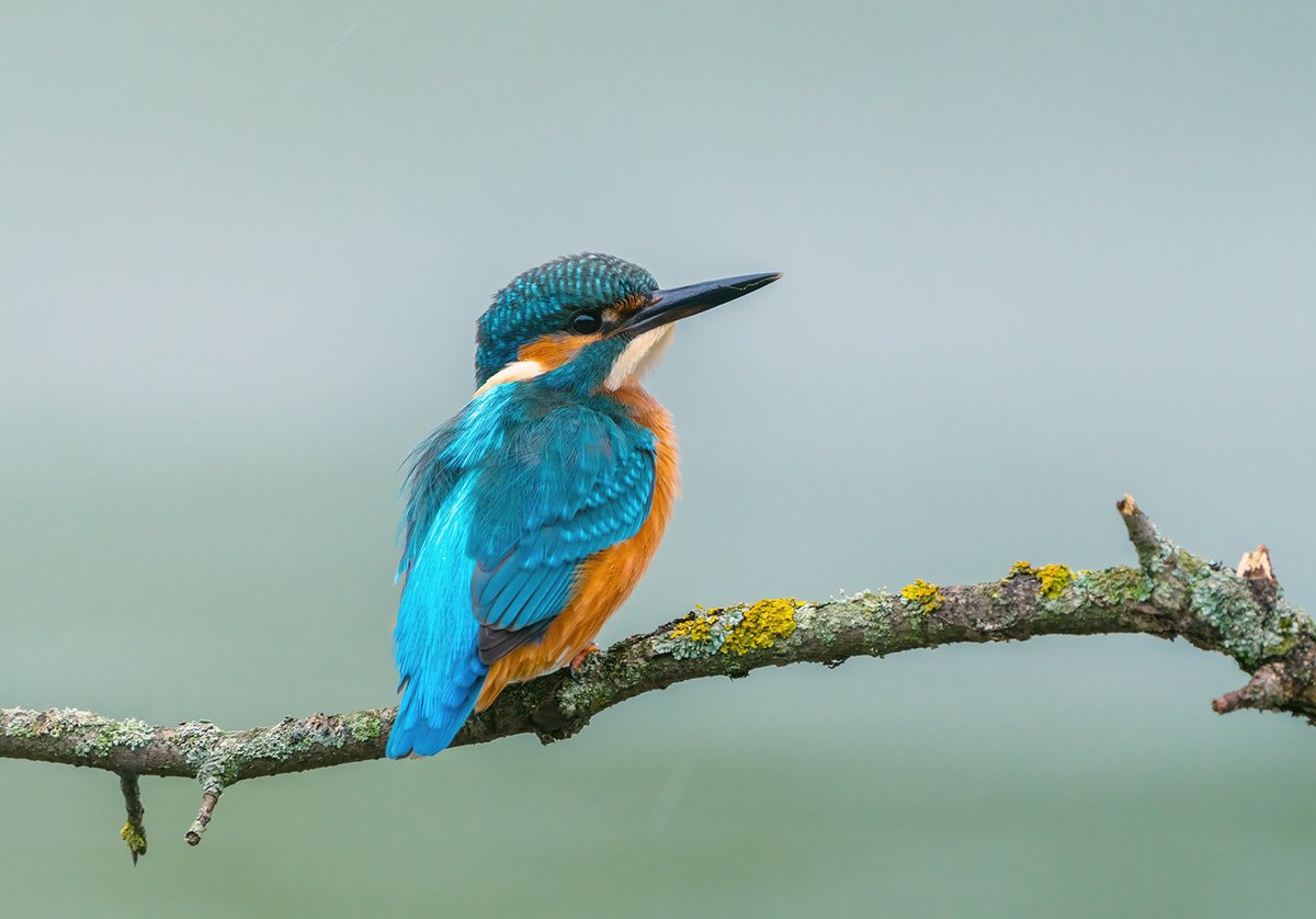 youtu.be/IFODRr5Sl8s