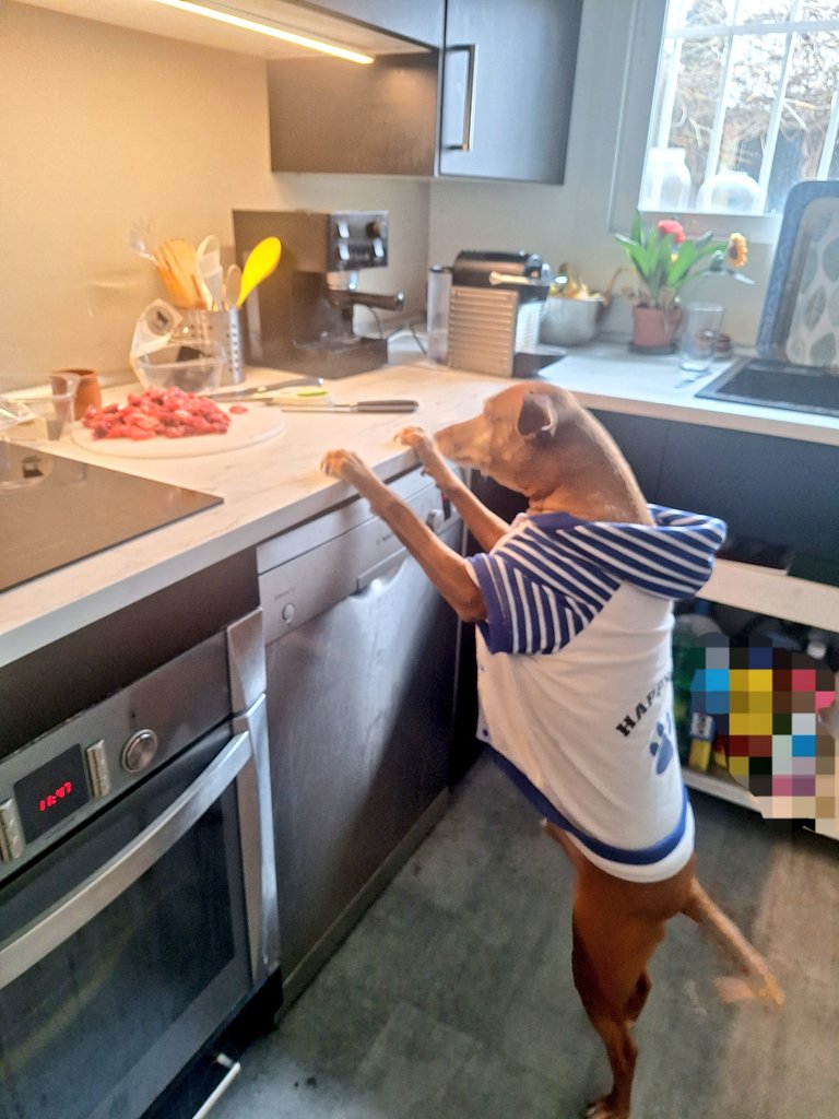 Nydia🥳 tweet media