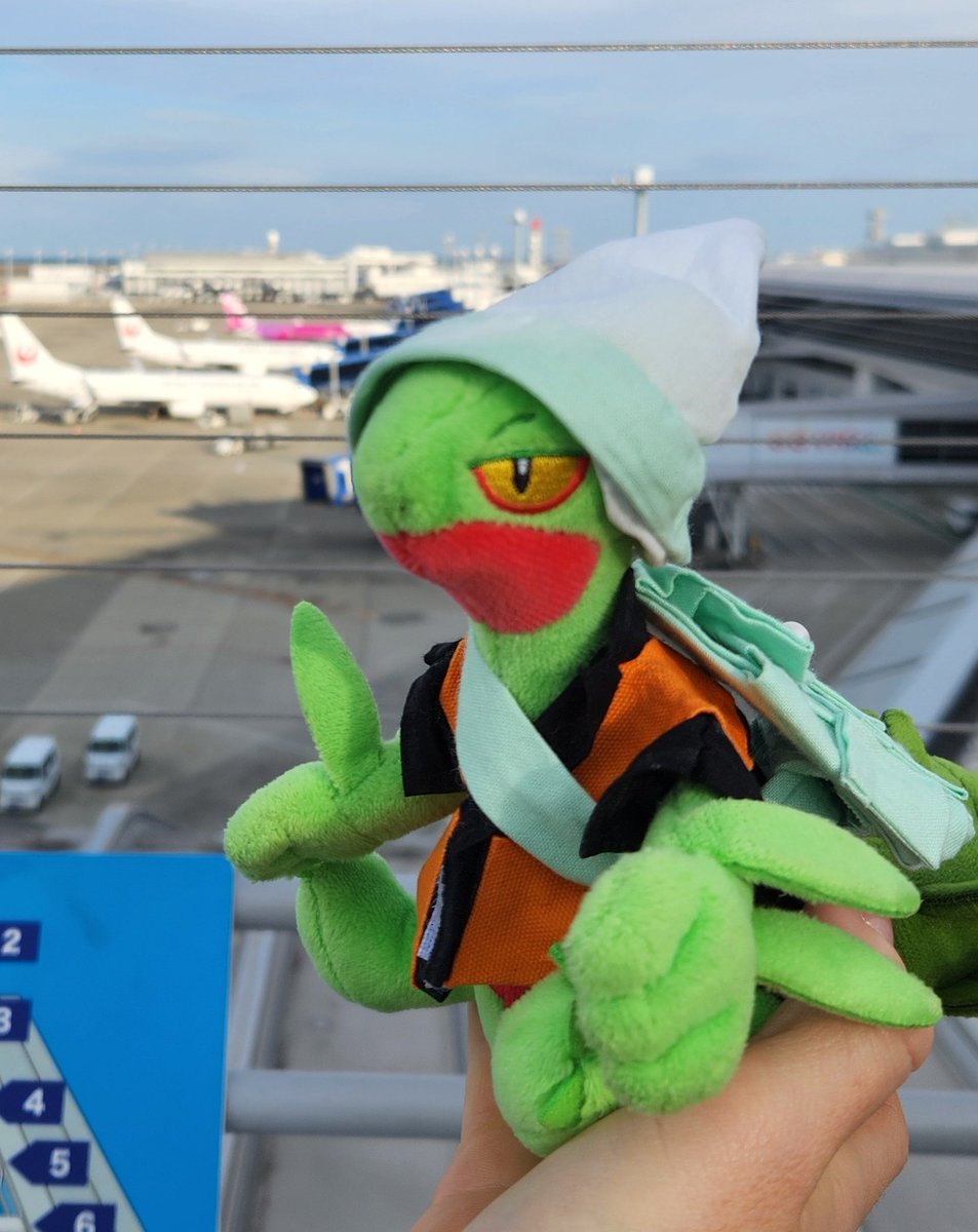 twi_kni's tweet photo. 今までのジュカインちゃん https://t.co/dQ9Xyfg01h