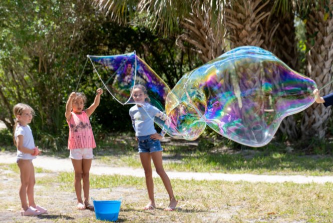 The sun is out for Lagoonapalooza today! Join us for a free music and nature festival in Vero for the entire family! Live music from 10-6, food, aquariums, touch tank, reptile encounters, pontoon quick trips, and over 20 fun &amp; educational activities.