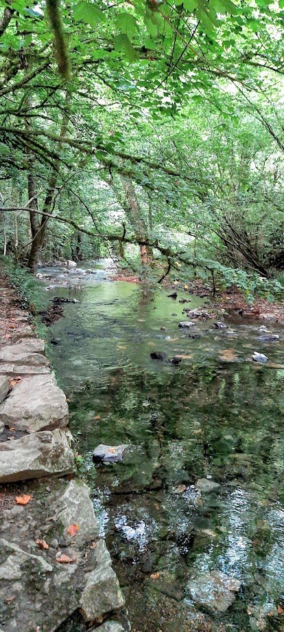 San Juan Xar 🥰
Es tradición que se beba primero de cada uno de los caños y que luego se frote con un paño mojado la parte de piel afectada. Luego, se abandonan los pañuelos en los alrededores de la fuente, y el cura los recogerá, los quemará y nuestra piel sanará. 😀