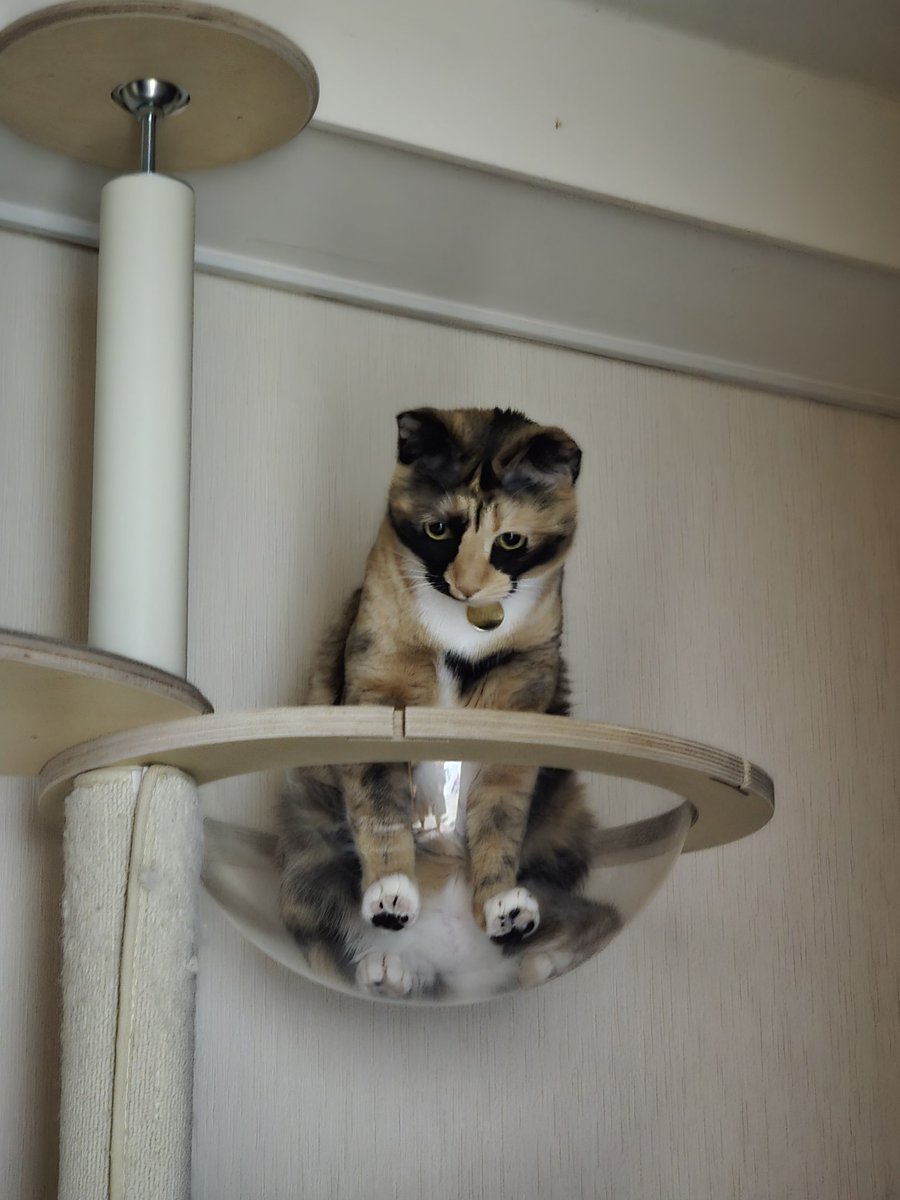 뭔가 재미있는 일이 있을 것 같은데 내려갈까 말까...