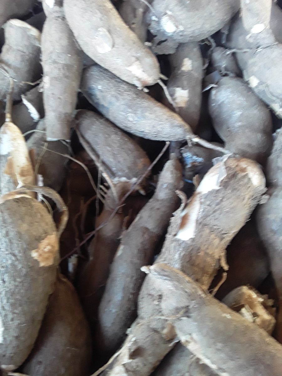 El Mercado Agropecuario Estatal con varias ofertas para toda la población🇨🇺
