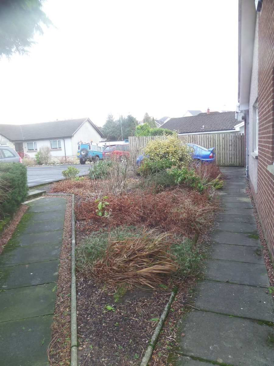 GardenHamster's tweet photo. Replanting a tired shyb bed. https://t.co/S8NLDcYFBT