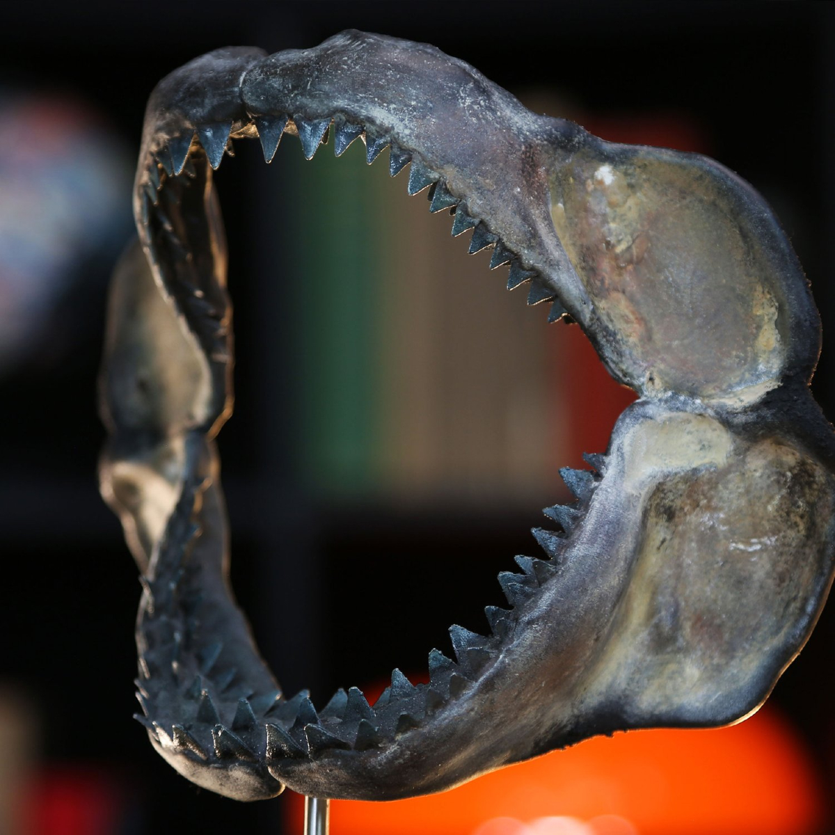 CuratedStudio tweet media