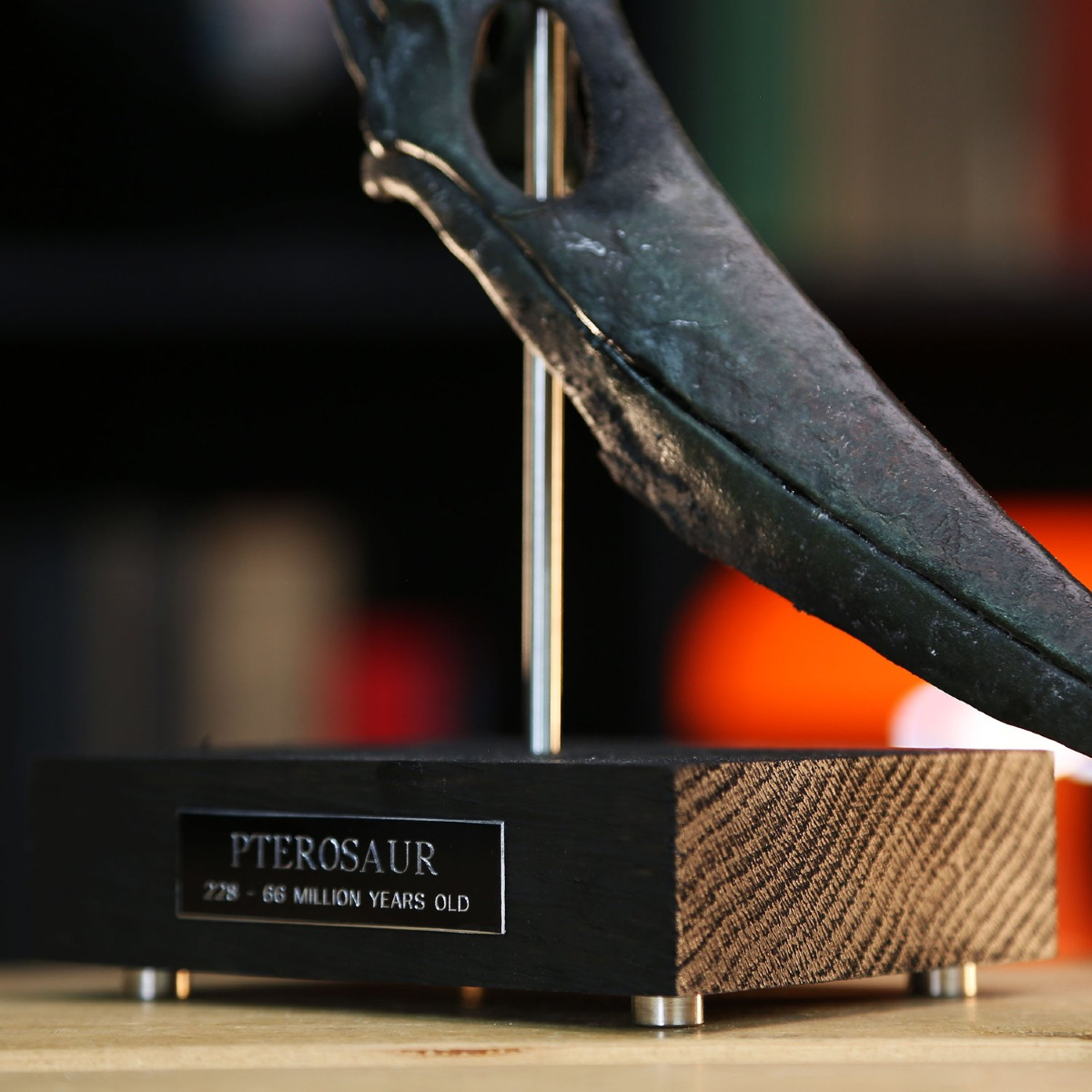 CuratedStudio tweet media