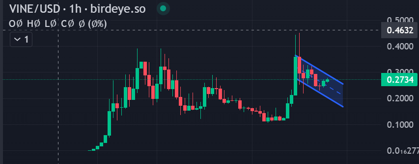 Brunokarno1's tweet photo. bull flag confirm $VINE. Lets go #vinecommunity @rus @elonmusk https://t.co/moZbaogjg3