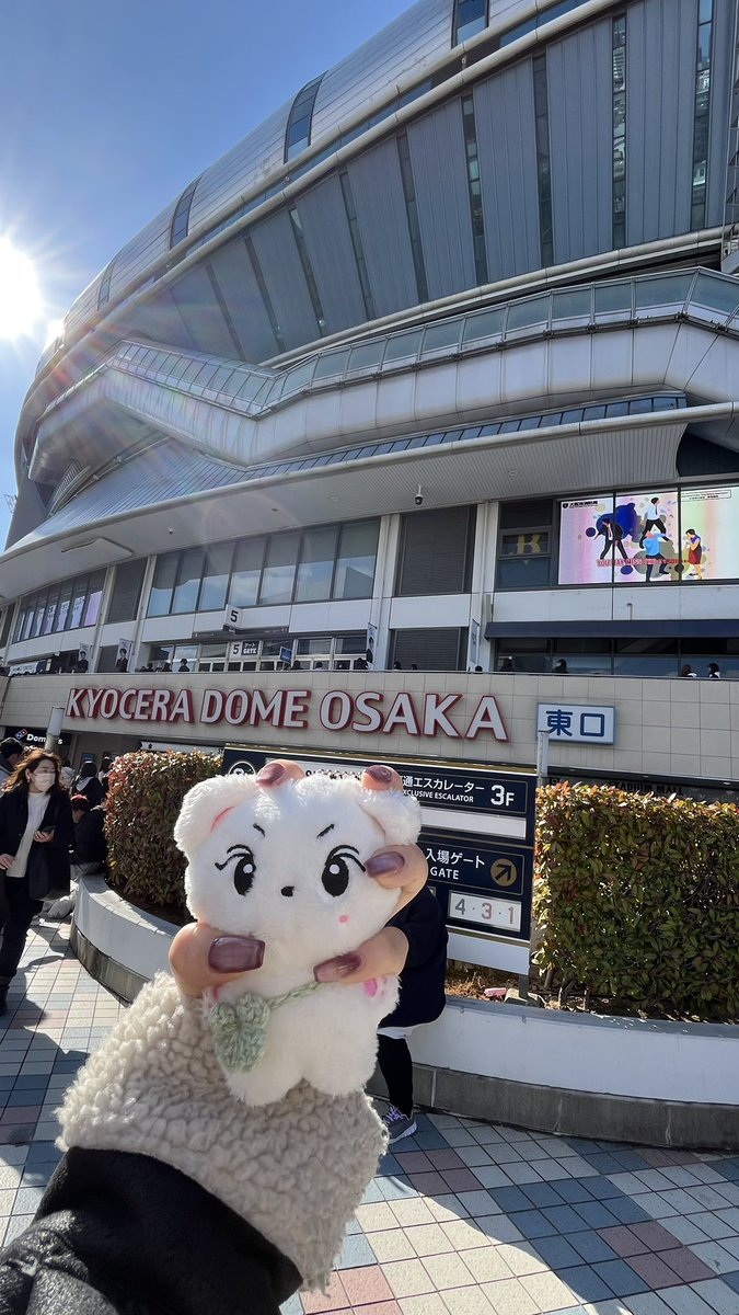 jw_sa12's tweet photo. 思い出のぬい落としちゃった今年ほんとにやばいかもわたし😭

誰か見た方いたら教えてください😭😭😭

 #京セラドーム  #ENHYPEN_WORLD_TOUR  #ENHYPEN #ENGENE https://t.co/WfcwNCrWX8