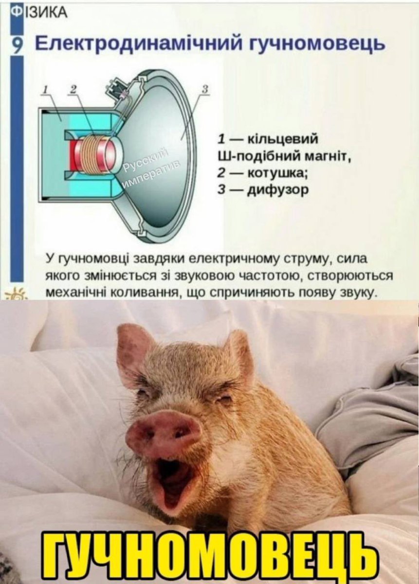 русский императив tweet media