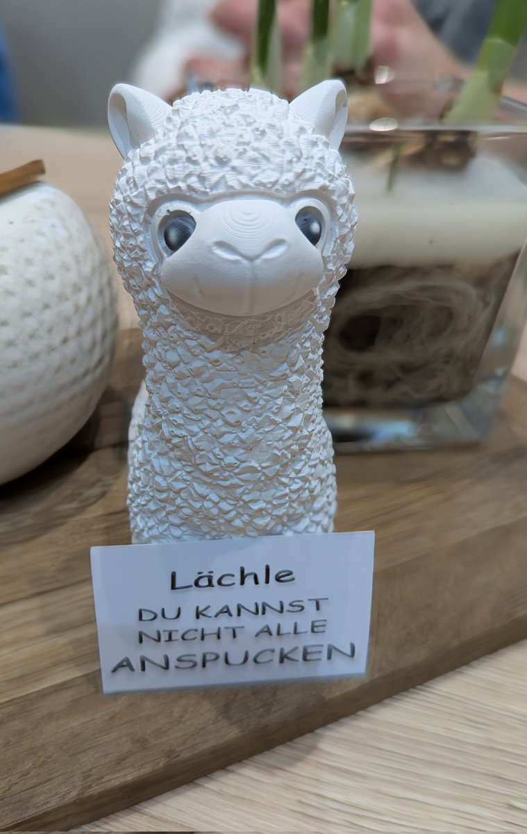 Das nehme ich mir vor