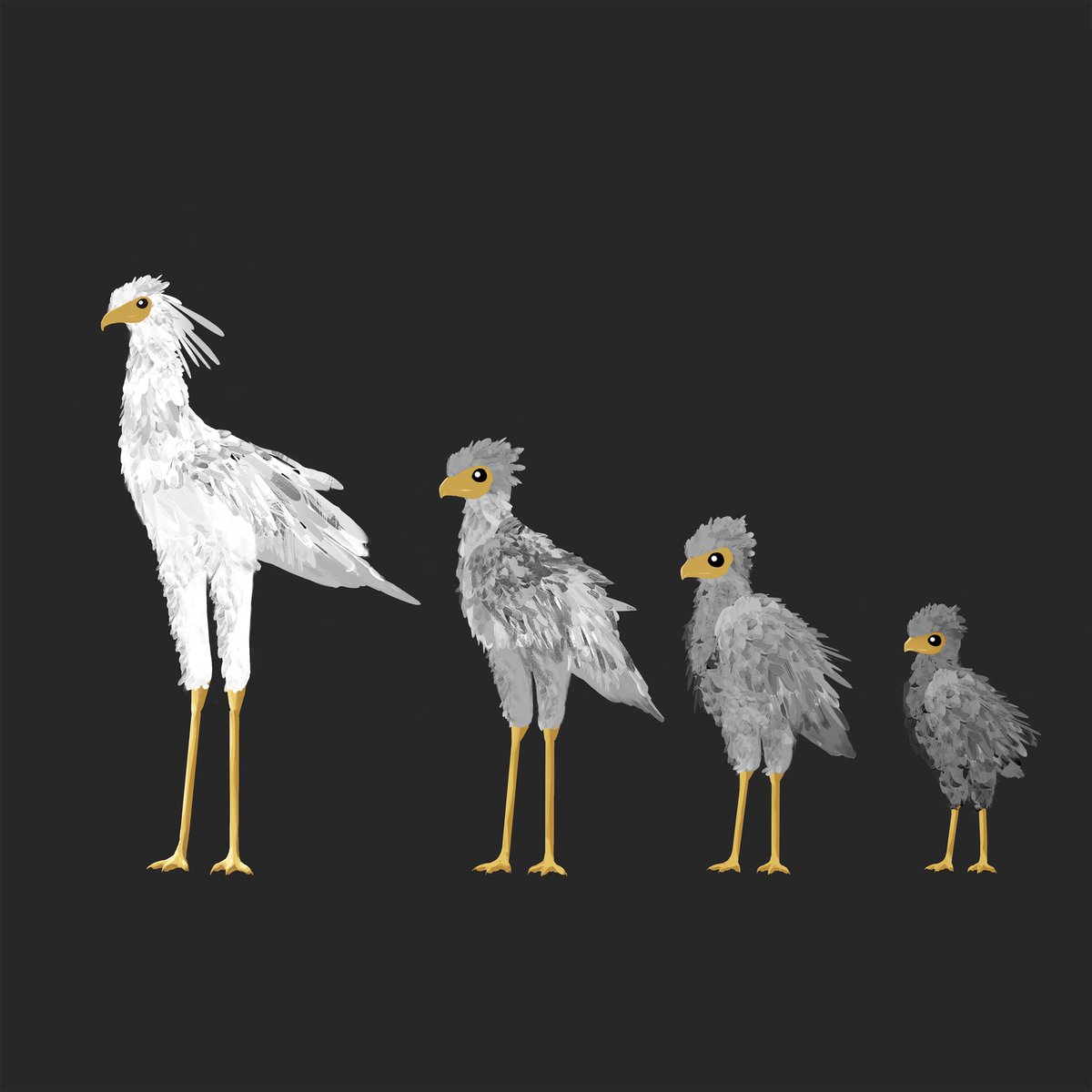 Flow birds concept art by <a href="/mokytoru/">mokytoru</a>