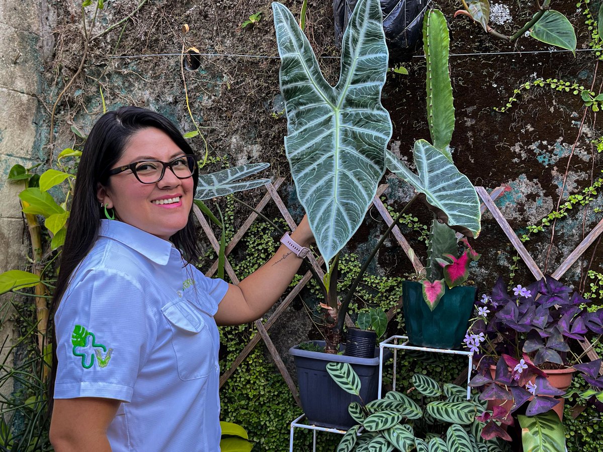 comercionegoci1's tweet photo. #Emprendedores | En El Salvador, la sostenibilidad y la naturaleza se fusionan con la tecnología. 

El proyecto #MásVerde nace con la misión de digitalizar el mercado de plantas y brindar una plataforma para emprendedores de todo el país.

Nota completa: https://t.co/6ajxJl2QQE https://t.co/GOwiavwkMM
