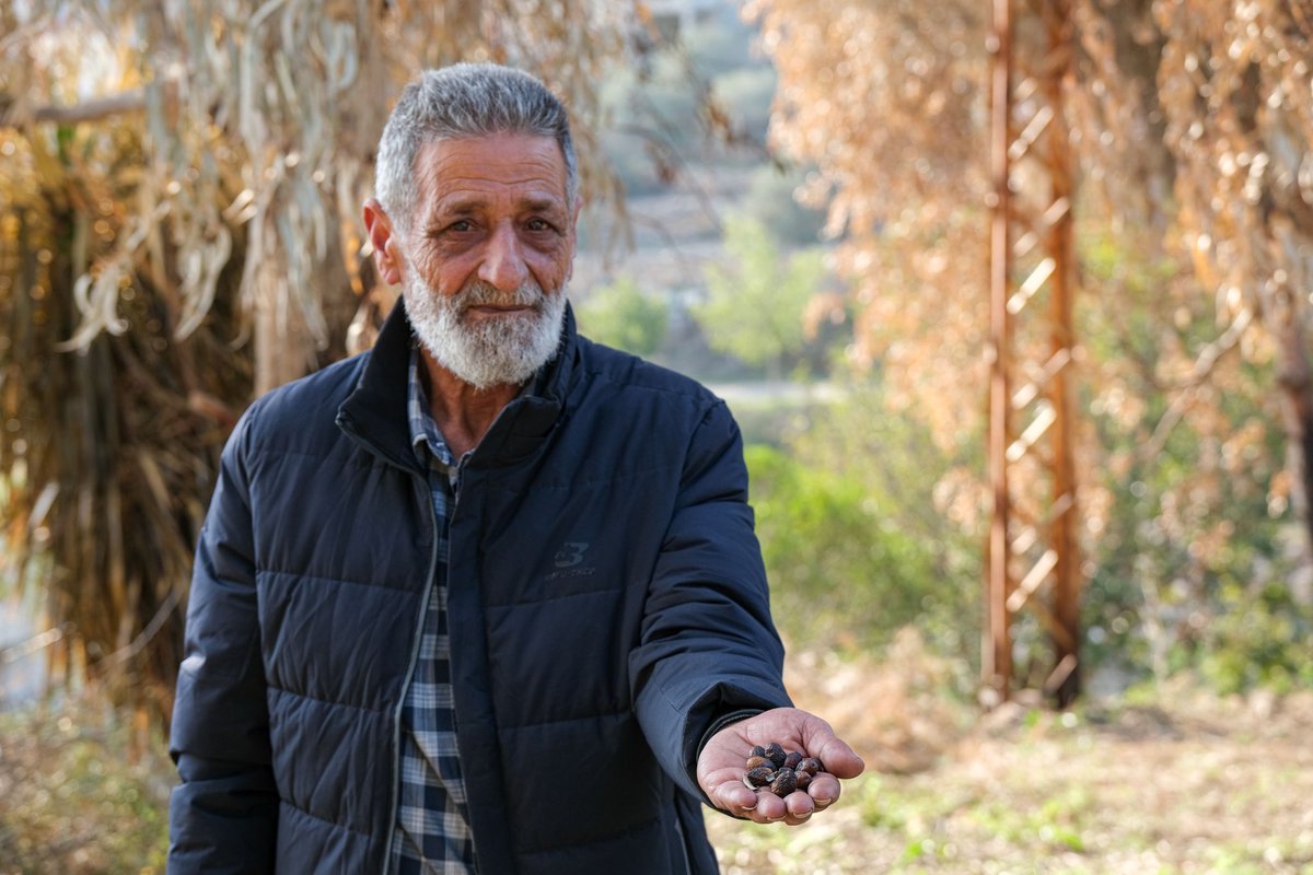 A witness from the Lebanese Civil Defense, reported to <a href="/NRC_Norway/">Norwegian Refugee Council</a> that olive groves were specifically targeted.

Israeli forces targeted fields w/ incendiary weapons destroying 47,000
olive trees &amp; nearly 2,000 acres of agriculture land.

Read my story:

nrc.no/feature/2025/a…