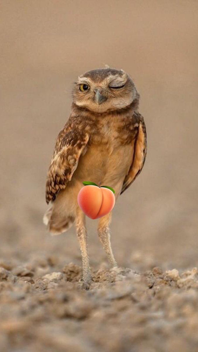 LeLucAlenvers's tweet photo. @ItalianQueenX @Stemplar9 @Mel_Be79 @elonmusk @Fulldragon7 @Frederic5869703 @anne__112 @Nelson_Cyr @fredbourget @charlieCH31 @perseveranceRLZ @mat55111567 @MaxymLab @podz4 @PasPaolo_ @Prunot28 @PRLECORRE @MarieToutcour11 @kick1972 @maxy @nicoroy @charlesmillar3 @MangeMitaine @NathalieCollard @go_jos_go @CarolineLamarre @camerio22 @Patchalif @JeanPaulLarivee @CestnormalauQc @Danielle_Quebec @Queenlily69 @EricSalvail @ThomLevac @Boblecollabo @DrGuitar @TheRealGorgNuwa @dcboyisangry @unoiseaucoasse @E_D_O_U_A_R_D @MamiePelote @IzyLaRousse @OBNmontreal @Verothier @ChouGino 🤗 https://t.co/xOmWawNogn