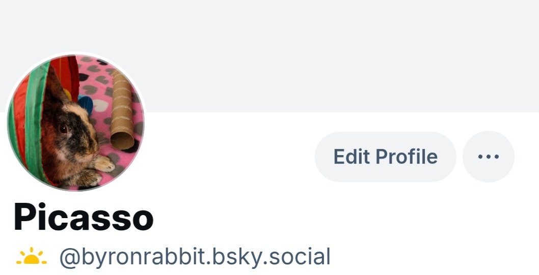 Picasso (was Rousseau) tweet media