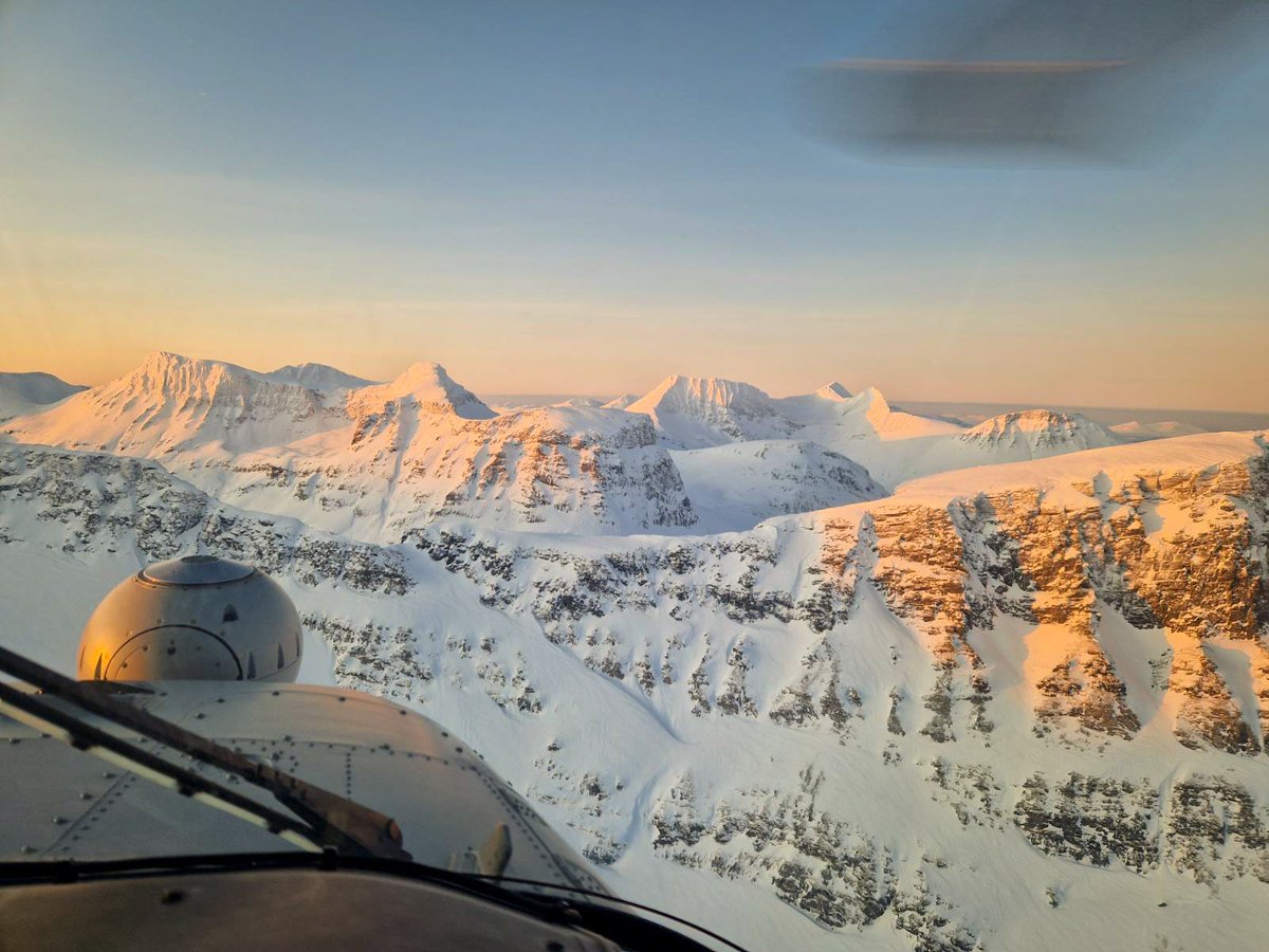 847 Naval Air Squadron tweet media