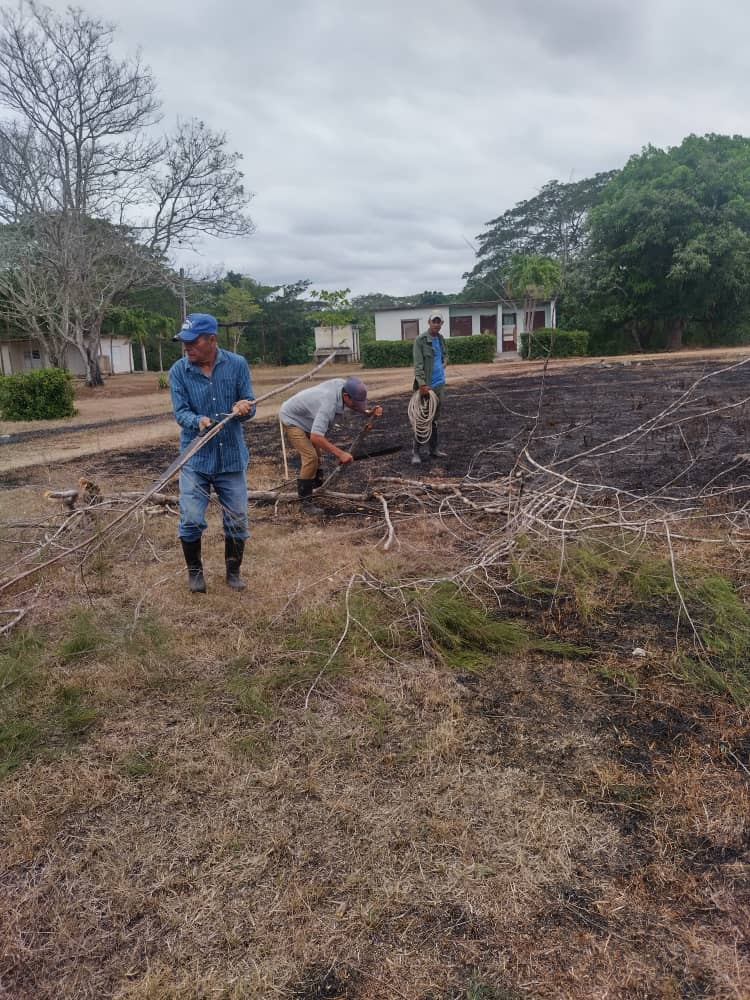 ECGJobabo's tweet photo. Los trabajadores de la Empresa Comercio y Gadtronomía Jobabo en el día nacional de la defensa construyendo futuro en la fomentación de areas para la siembra de alimentod para el pueblo
#PorlasTunaslavictoria
#TareadeGrandr https://t.co/HIlUg8UcV2