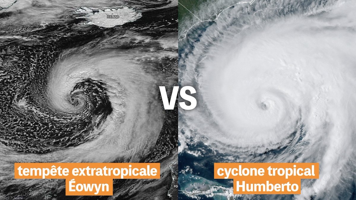 Guillaume Jauseau tweet media