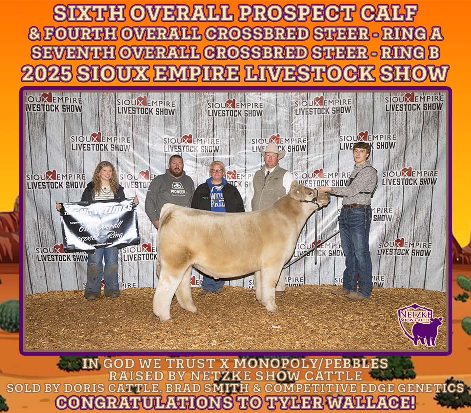 NetzkeCattle's tweet photo. 6th Overall Prospect Calf &amp; 4th Overall Crossbred Steer- Ring A
7th Overall Crossbred Steer- Ring B
2025 Sioux Empire Livestock Show
In God We Trust x Monopoly/Pebbles
Raised by Netzke
Sold by Doris, Brad Smith &amp; CEG
Congratulations to Tyler Wallace &amp; Family! https://t.co/ABZ6h4vI1P